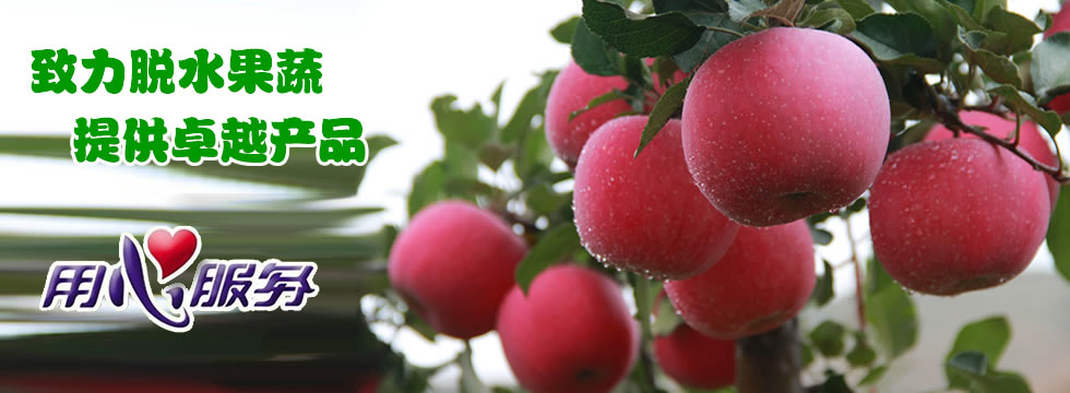 誠(chéng)信立足 創(chuàng)新發(fā)展